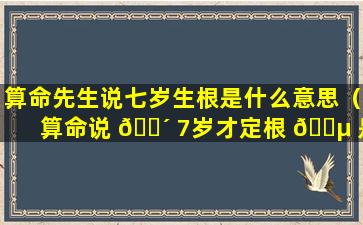 算命先生说七岁生根是什么意思（算命说 🌴 7岁才定根 🐵 是什么意思）